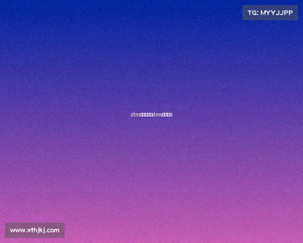 dtm新赛事方案dms赛事规则