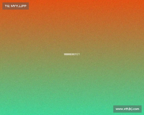 焦点赛事分析;焦点2021